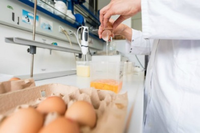 Một vài cách lựa chọn trứng sạch, nhận biết trứng gà nhiễm độc