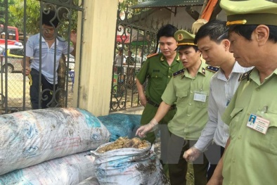 Bắt ô tô chở gần một tấn thực phẩm bẩn vào TP.HCM tiêu thụ