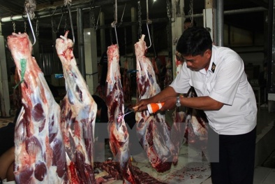 Tăng cường kiểm soát hoạt động giết mổ gia súc, gia cầm