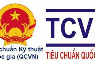 Nghị định 127/2007/NĐ-CP: Tồn tại số mặt hạn chế cần sửa đổi, bổ sung
