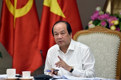 Tổ công tác của Thủ tướng 'truy' việc kiểm dịch thực phẩm và kiểm tra chuyên ngành
