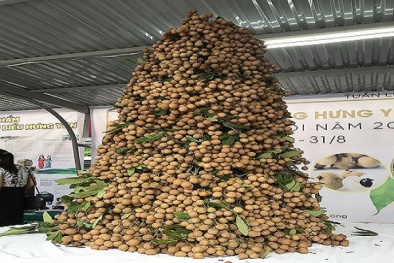 Để mua được nhãn lồng Hưng Yên 'xịn' người tiêu dùng cần chú ý điểm này