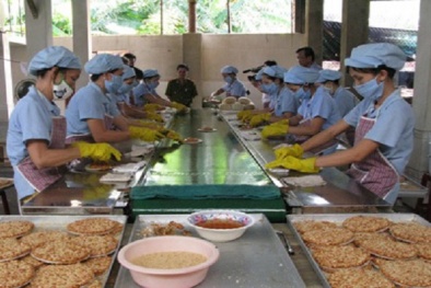 Cơ sở sản xuất, kinh doanh thực phẩm cần chuẩn bị những gì khi kiểm tra?