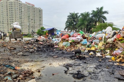 Rác ngập KĐT Nam An Khánh:UBND Hoài Đức yêu cầu dừng tiếp nhận rác sau phản ánh của VietQ