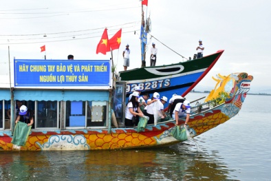 Thừa Thiên-Huế: Tái tạo nguồn lợi thủy sản sau sự cố môi trường biển