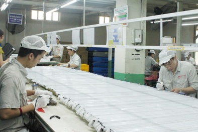 Kinh nghiệm áp dụng 5S tại Công ty CP Bóng đèn Phích nước Rạng Đông