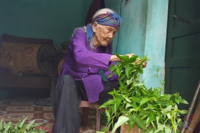 Người sống thọ nhất tỉnh Quảng Ninh, 'bí quyết' chỉ ăn cơm khô không chan nước