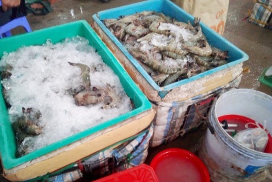 Phát hiện doanh nghiệp đang bơm tạp chất tạo thịt giả vào tôm sú