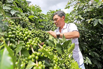 Hội nghị Nông dân Khởi nghiệp năm 2017 sắp được tổ chức tại Hà Nội