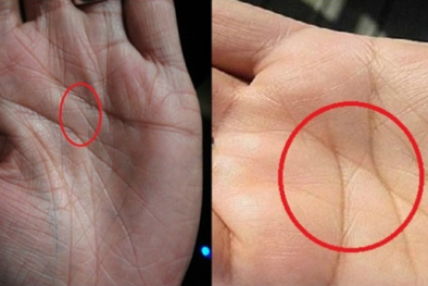 Đường chỉ tay 3% dân số thế giới sở hữu đặc biệt đến thế nào?