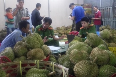 Bắt quả tang cơ sở nhúng sầu riêng vào hóa chất tại Gia Lai