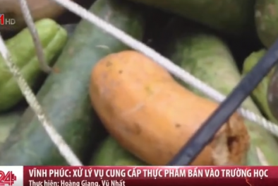 Phát hiện gần 100kg thực phẩm bẩn được đưa vào trường học