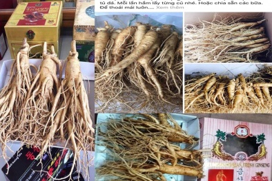'Ma trận'... nhân sâm tươi!