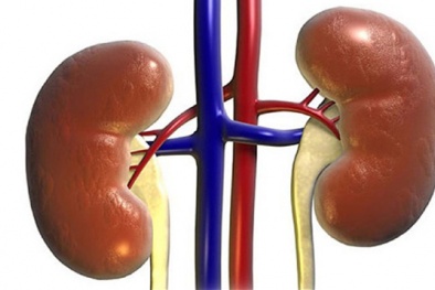 Thiếu một quả thận, cơ thể người sẽ sống như thế nào?
