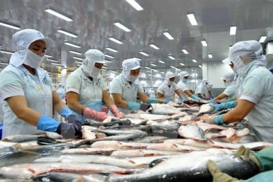 VASEP phản bác kết luận sơ bộ về chống bán phá giá lần thứ 13 với cá tra-basa Việt Nam
