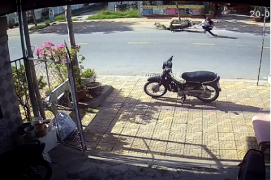 Video: Kinh hoàng chó chạy rông gây tai nạn thảm khốc