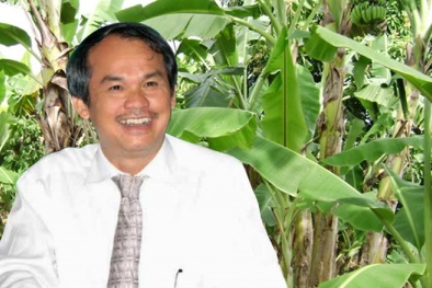 Bầu Đức thu nghìn tỷ từ chuối, chanh dây, tiếp tục trồng ớt và hồ tiêu
