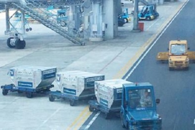 Cục HK nói gì về vụ nữ nhân viên sân bay Nội Bài bị xe đầu kéo đâm tử vong?