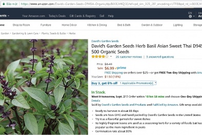 Rau sam, hương nhu người Việt để mọc dại, chợ Tây bán 200 nghìn/gói hạt giống