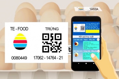 TP.HCM: Đồng loạt truy xuất nguồn gốc thịt và trứng gà từ ngày 3/10