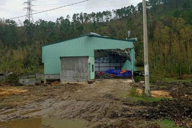 Quảng Bình: Sau bão số 10 càn quét, ‘hiện nguyên hình’ một kho hóa chất không ai biết đến