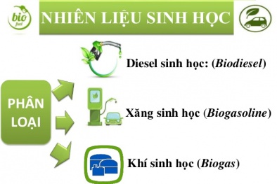 Từ 1/1/2018, chỉ cho phép sản xuất kinh doanh xăng E5 RON 92 và xăng khoáng RON 95