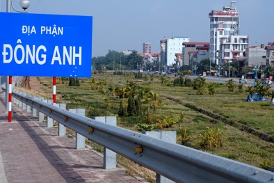 Giá đất thổ cư ở Đông Anh (Hà Nội) bất ngờ lên ‘cơn sốt’