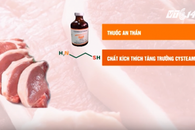 Cách phân biệt thịt lợn tồn dư kháng sinh, thuốc an thần