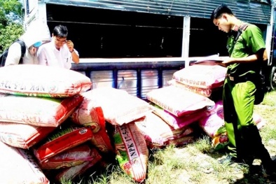 Long An: Phát hiện hơn 11 tấn phân bón NPK quá hạn sử dụng