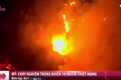 10 người thiệt mạng do cháy rừng tại bang California, Mỹ