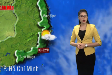 Thông tin thời tiết hôm nay (11/10) và ngày mai