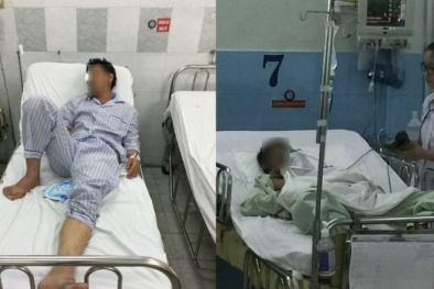 Rò khí amoniac khiến 3 người nguy kịch, chó, gà, lợn chết hàng loạt: Amoniac độc thế nào?
