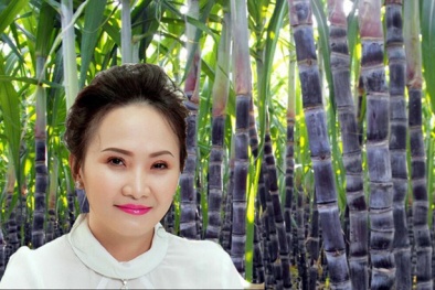 'Công chúa mía đường' Đặng Huỳnh Ức My nhận thù lao cao gấp nhiều lần chủ tịch HĐQT