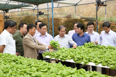 Nâng cao chất lượng sản phẩm hàng hóa, đẩy mạnh triển khai nông nghiệp 4.0