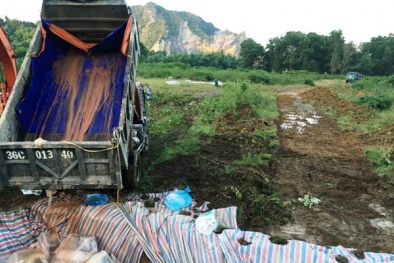 Tiêu hủy 4.000 con lợn chết tại Thanh Hóa