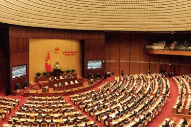 Quốc hội tiến hành miễn nhiệm hai thành viên chính phủ