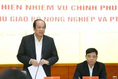 Tổ công tác Chính phủ lưu ý Bộ NN&PTNT hàng loạt vấn đề kiểm tra chuyên ngành