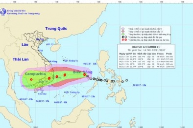 Ảnh hưởng của cơn bão số 12, nguy cơ mưa lớn trên diện rộng