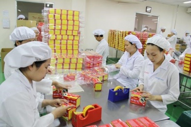 Lâm Đồng đẩy mạnh hỗ trợ các mô hình năng suất chất lượng