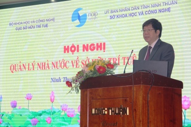 Hoạt động sở hữu trí tuệ: 'Đòn bẩy’ phát triển kinh tế - xã hội địa phương