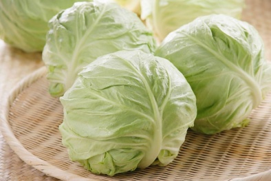 Mắc những bệnh này mà cố tình ăn bắp cải sẽ tử vong rất nhanh