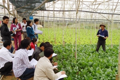 Khởi nghiệp trong nông nghiệp và bài học kinh nghiệm từ Israel