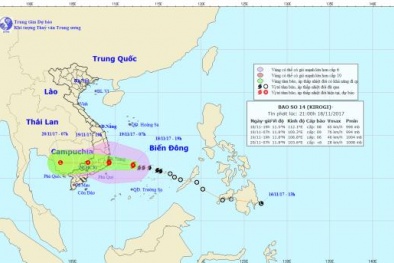 Dự báo thời tiết ngày 19/11: Bão số 14 đang hướng vào đất liền