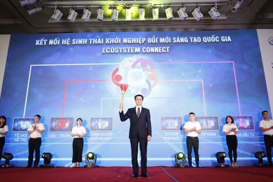 Hệ sinh thái khởi nghiệp được hình thành và kết nối rộng khắp