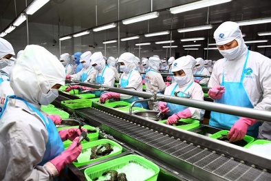 Doanh nghiệp tư nhân trước yêu cầu đổi mới mô hình tăng trưởng, nâng cao năng suất