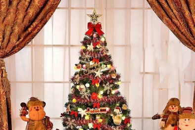Thị trường mùa Giáng sinh 2017: Cây thông Noel giá bao nhiêu?