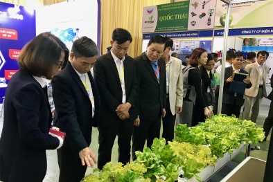 Đẩy mạnh ứng dụng và thương mại hóa công nghệ trong nông nghiệp