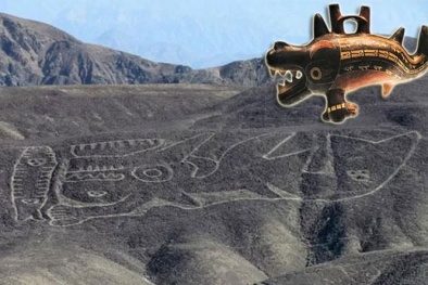 Tận mắt thấy cá voi hình dạng kỳ quái dài 70m tại Peru