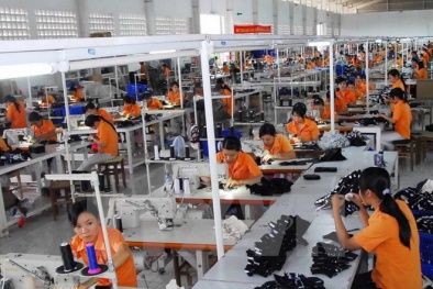 Vĩnh Phúc: Tăng cường hỗ trợ doanh nghiệp đổi mới công nghệ, nâng cao NSCL