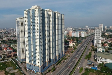 Giáng chức, buộc thôi việc hàng loạt cán bộ Thanh tra Xây dựng Hà Nội